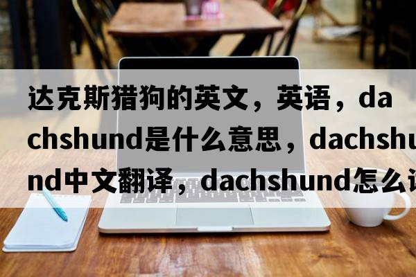 達克斯獵狗的英文，英語(yǔ)，dachshund是什么意思，dachshund中文翻譯，dachshund怎么讀、發(fā)音、用法及例句