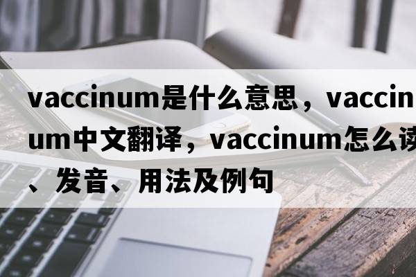 vaccinum是什么意思，vaccinum中文翻譯，vaccinum怎么讀、發(fā)音、用法及例句