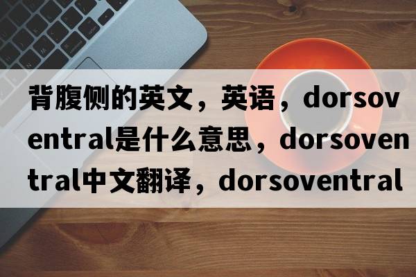 背腹側的英文，英語(yǔ)，dorsoventral是什么意思，dorsoventral中文翻譯，dorsoventral怎么讀、發(fā)音、用法及例句