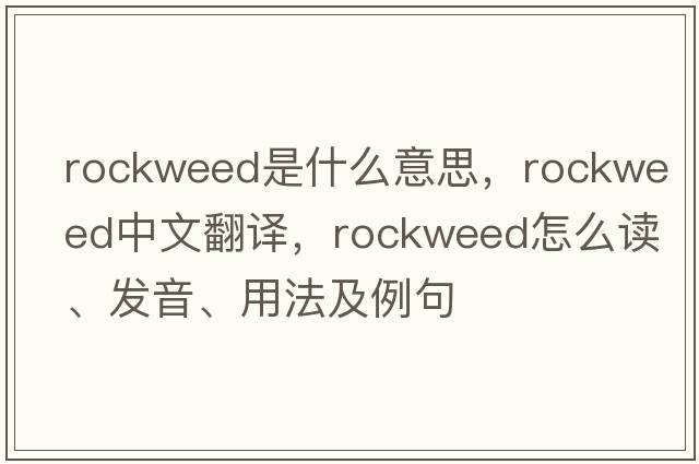 rockweed是什么意思，rockweed中文翻譯，rockweed怎么讀、發(fā)音、用法及例句