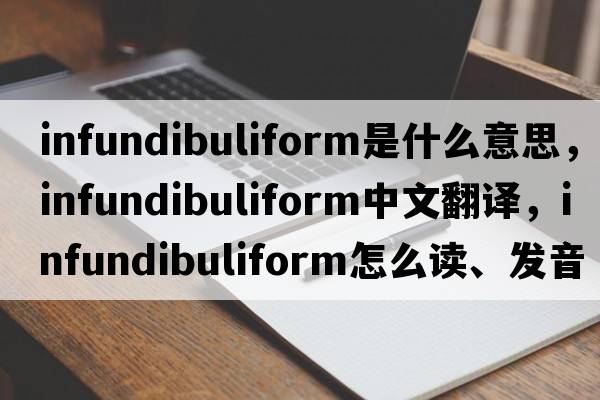 infundibuliform是什么意思，infundibuliform中文翻譯，infundibuliform怎么讀、發(fā)音、用法及例句