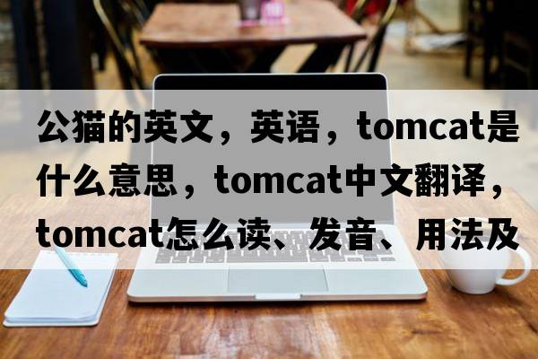 公貓的英文，英語(yǔ)，tomcat是什么意思，tomcat中文翻譯，tomcat怎么讀、發(fā)音、用法及例句