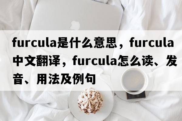 furcula是什么意思，furcula中文翻譯，furcula怎么讀、發(fā)音、用法及例句