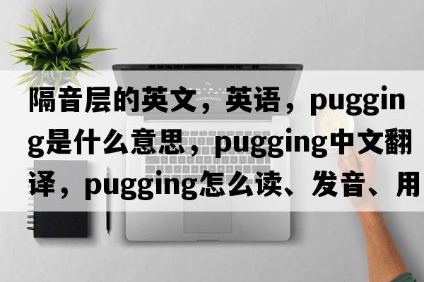隔音層的英文，英語(yǔ)，pugging是什么意思，pugging中文翻譯，pugging怎么讀、發(fā)音、用法及例句