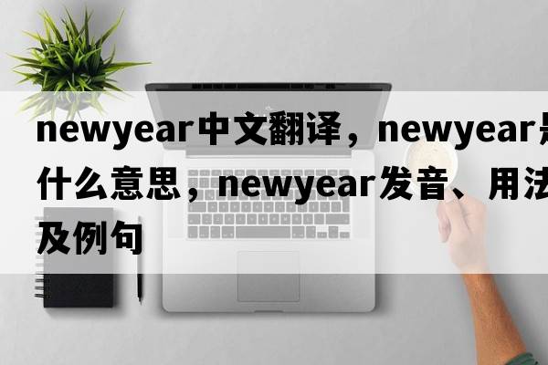 newyear中文翻譯，newyear是什么意思，newyear發(fā)音、用法及例句