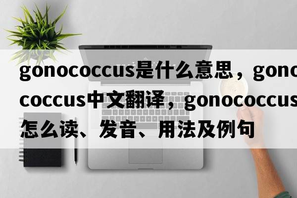 gonococcus是什么意思，gonococcus中文翻譯，gonococcus怎么讀、發(fā)音、用法及例句