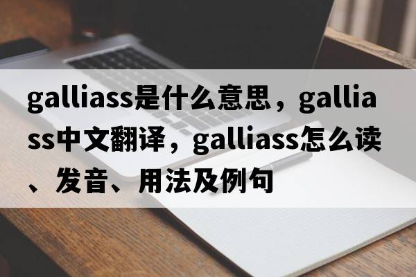 galliass是什么意思，galliass中文翻譯，galliass怎么讀、發(fā)音、用法及例句
