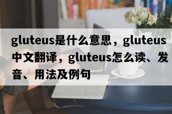 gluteus是什么意思，gluteus中文翻譯，gluteus怎么讀、發(fā)音、用法及例句