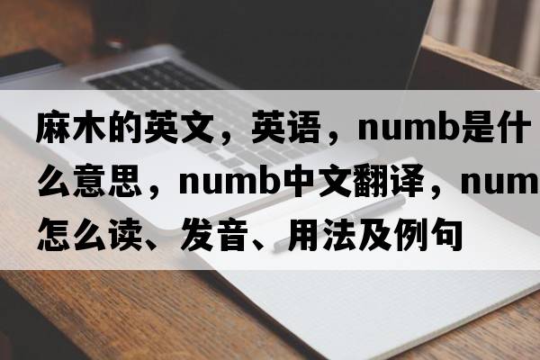 麻木的英文，英語(yǔ)，numb是什么意思，numb中文翻譯，numb怎么讀、發(fā)音、用法及例句