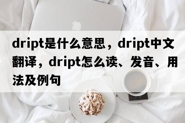dript是什么意思，dript中文翻譯，dript怎么讀、發(fā)音、用法及例句
