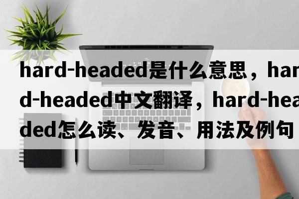 hard-headed是什么意思，hard-headed中文翻譯，hard-headed怎么讀、發(fā)音、用法及例句