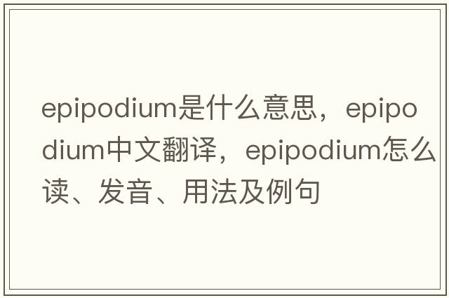epipodium是什么意思，epipodium中文翻譯，epipodium怎么讀、發(fā)音、用法及例句