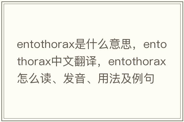 entothorax是什么意思，entothorax中文翻譯，entothorax怎么讀、發(fā)音、用法及例句