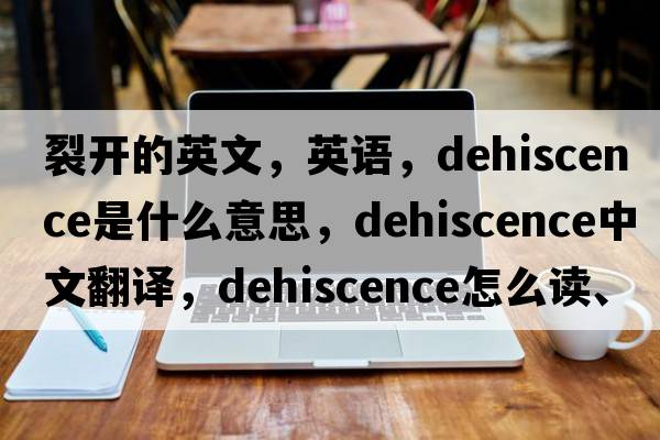 裂開(kāi)的英文，英語(yǔ)，dehiscence是什么意思，dehiscence中文翻譯，dehiscence怎么讀、發(fā)音、用法及例句