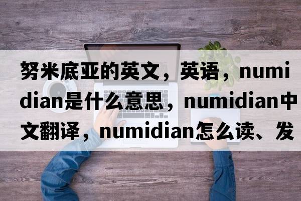 努米底亞的英文，英語(yǔ)，Numidian是什么意思，Numidian中文翻譯，Numidian怎么讀、發(fā)音、用法及例句