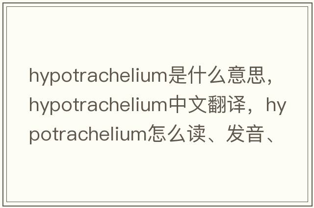 hypotrachelium是什么意思，hypotrachelium中文翻譯，hypotrachelium怎么讀、發(fā)音、用法及例句