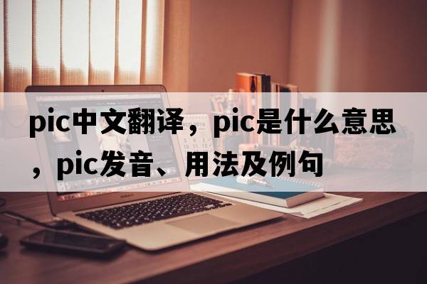 pic中文翻譯，pic是什么意思，pic發(fā)音、用法及例句