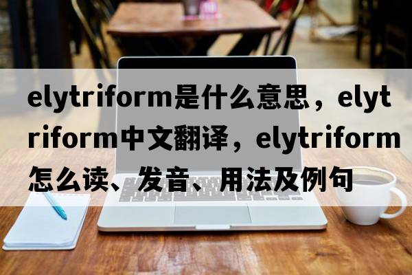 elytriform是什么意思，elytriform中文翻譯，elytriform怎么讀、發(fā)音、用法及例句