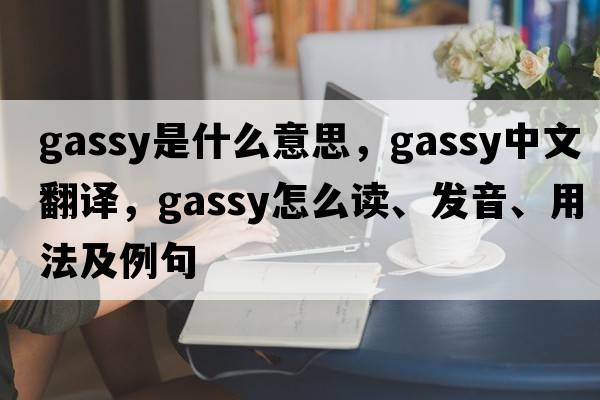 gassy是什么意思，gassy中文翻譯，gassy怎么讀、發(fā)音、用法及例句
