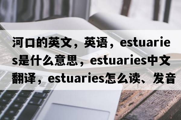 河口的英文，英語(yǔ)，estuaries是什么意思，estuaries中文翻譯，estuaries怎么讀、發(fā)音、用法及例句