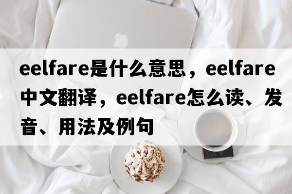 eelfare是什么意思，eelfare中文翻譯，eelfare怎么讀、發(fā)音、用法及例句