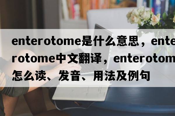 enterotome是什么意思，enterotome中文翻譯，enterotome怎么讀、發(fā)音、用法及例句