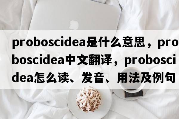 Proboscidea是什么意思，Proboscidea中文翻譯，Proboscidea怎么讀、發(fā)音、用法及例句