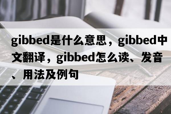 gibbed是什么意思，gibbed中文翻譯，gibbed怎么讀、發(fā)音、用法及例句