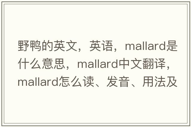 野鴨的英文，英語(yǔ)，mallard是什么意思，mallard中文翻譯，mallard怎么讀、發(fā)音、用法及例句