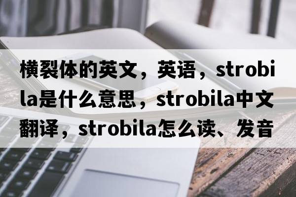 橫裂體的英文，英語(yǔ)，strobila是什么意思，strobila中文翻譯，strobila怎么讀、發(fā)音、用法及例句