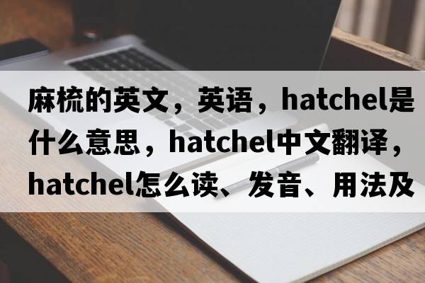 麻梳的英文，英語(yǔ)，hatchel是什么意思，hatchel中文翻譯，hatchel怎么讀、發(fā)音、用法及例句