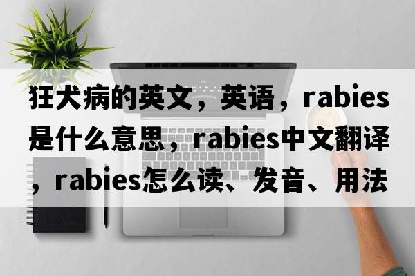狂犬病的英文，英語(yǔ)，rabies是什么意思，rabies中文翻譯，rabies怎么讀、發(fā)音、用法及例句