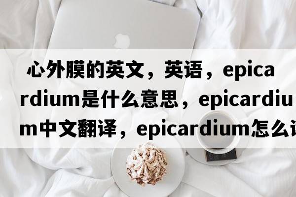  心外膜的英文，英語(yǔ)，epicardium是什么意思，epicardium中文翻譯，epicardium怎么讀、發(fā)音、用法及例句