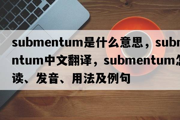 submentum是什么意思，submentum中文翻譯，submentum怎么讀、發(fā)音、用法及例句