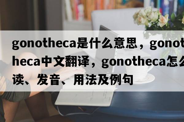 gonotheca是什么意思，gonotheca中文翻譯，gonotheca怎么讀、發(fā)音、用法及例句