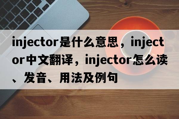 injector是什么意思，injector中文翻譯，injector怎么讀、發(fā)音、用法及例句