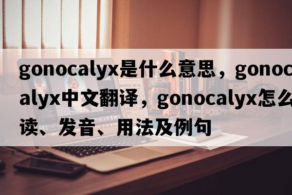 gonocalyx是什么意思，gonocalyx中文翻譯，gonocalyx怎么讀、發(fā)音、用法及例句