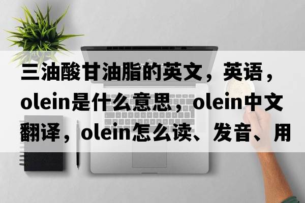 三油酸甘油脂的英文，英語(yǔ)，olein是什么意思，olein中文翻譯，olein怎么讀、發(fā)音、用法及例句