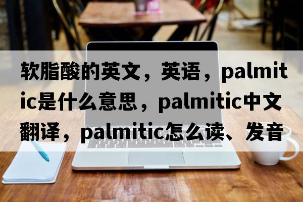 軟脂酸的英文，英語(yǔ)，palmitic是什么意思，palmitic中文翻譯，palmitic怎么讀、發(fā)音、用法及例句