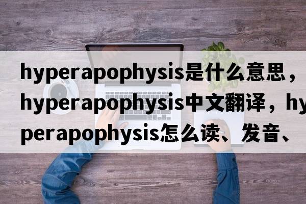 hyperapophysis是什么意思，hyperapophysis中文翻譯，hyperapophysis怎么讀、發(fā)音、用法及例句