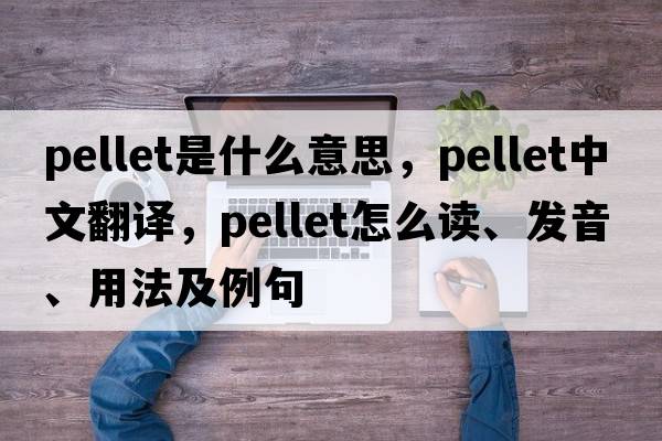 pellet是什么意思，pellet中文翻譯，pellet怎么讀、發(fā)音、用法及例句
