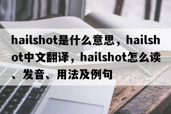 hailshot是什么意思，hailshot中文翻譯，hailshot怎么讀、發(fā)音、用法及例句
