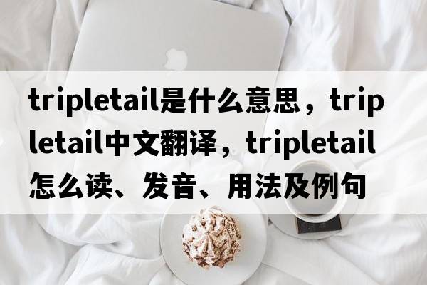 tripletail是什么意思，tripletail中文翻譯，tripletail怎么讀、發(fā)音、用法及例句