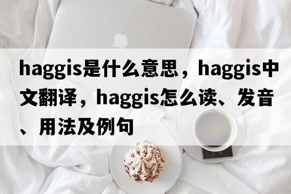 haggis是什么意思，haggis中文翻譯，haggis怎么讀、發(fā)音、用法及例句