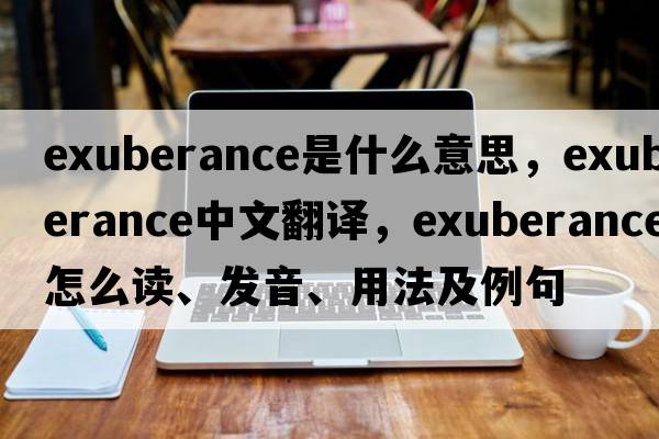 exuberance是什么意思，exuberance中文翻譯，exuberance怎么讀、發(fā)音、用法及例句