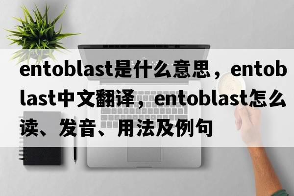 entoblast是什么意思，entoblast中文翻譯，entoblast怎么讀、發(fā)音、用法及例句