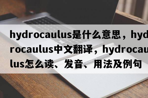 hydrocaulus是什么意思，hydrocaulus中文翻譯，hydrocaulus怎么讀、發(fā)音、用法及例句