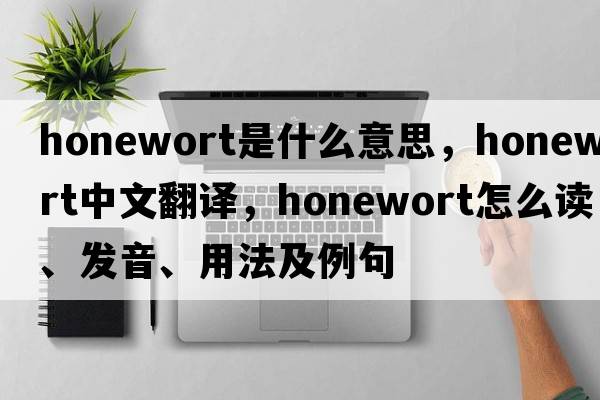 honewort是什么意思，honewort中文翻譯，honewort怎么讀、發(fā)音、用法及例句