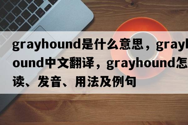 grayhound是什么意思，grayhound中文翻譯，grayhound怎么讀、發(fā)音、用法及例句