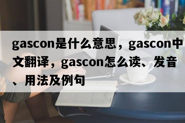 Gascon是什么意思，Gascon中文翻譯，Gascon怎么讀、發(fā)音、用法及例句